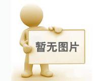 防墜安全器的使用要求和檢測防護指南
